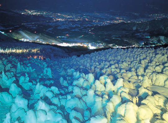 蔵王の樹氷のライトアップ