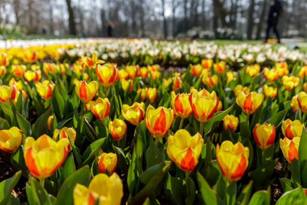 12473797_10153530666891636_4738268516708853983_o