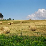 『赤毛のアン』の故郷で有名な世界一美しい島とも言われる「カナダのプリンスエドワード島」