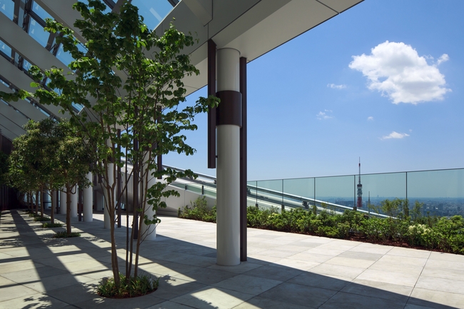 ルーフトップヨガ