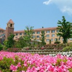 豊かな果実に囲まれた「山梨市の人気のホテル・旅館ランキング」