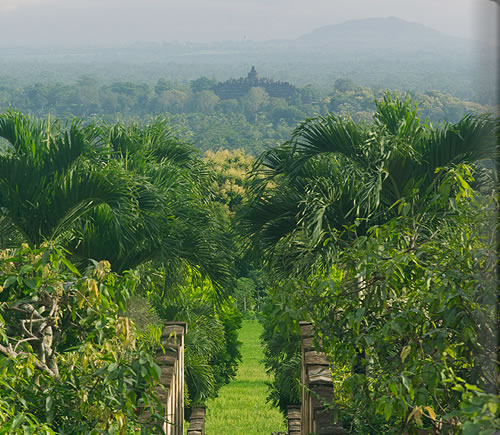 アマンジオの通路