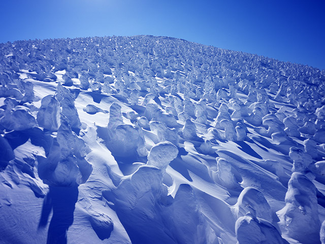 日本が世界に誇る絶景。自然が生んだ神秘の作品「蔵王の樹氷」