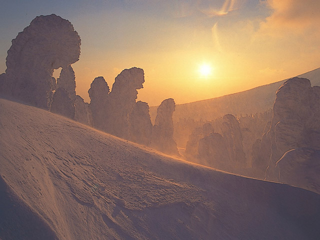 夕暮れ時の蔵王の樹氷