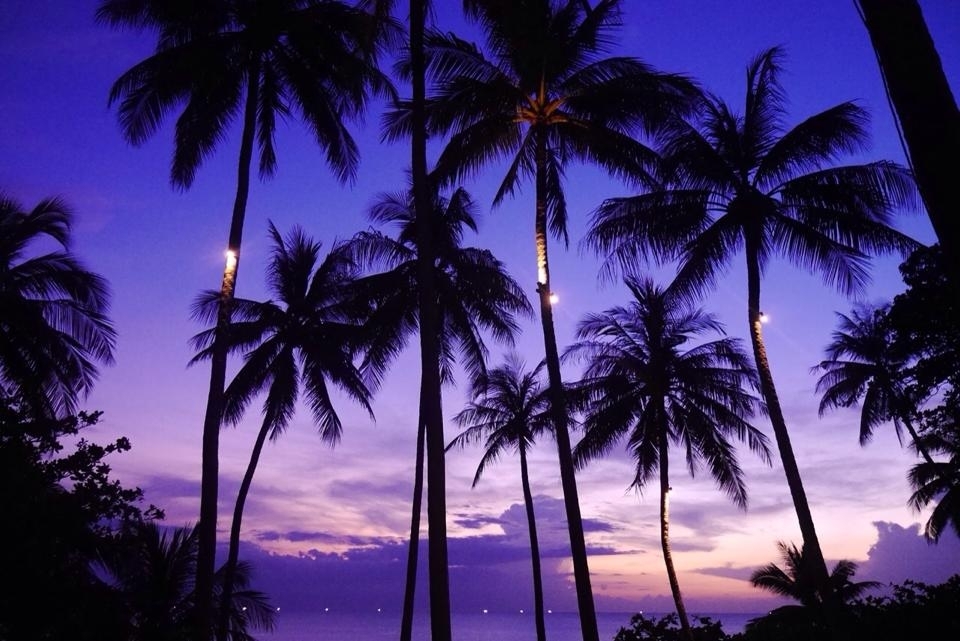 アマンプリの夕暮れ