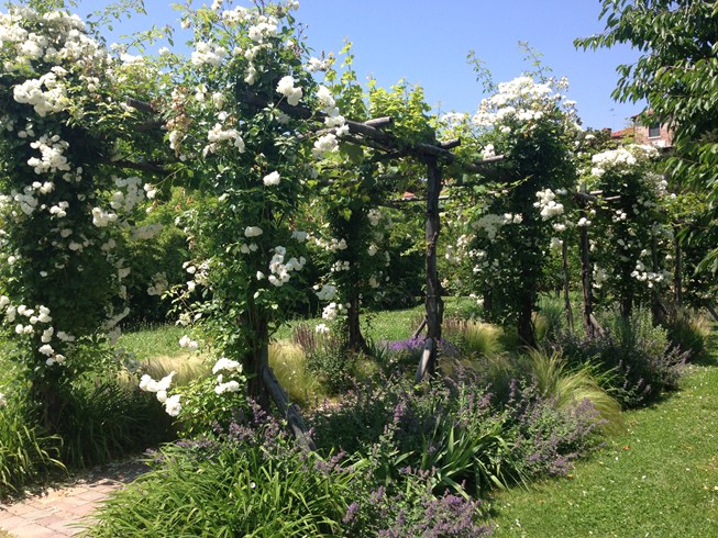 バウアー・パラディオ・ホテル&スパの庭園