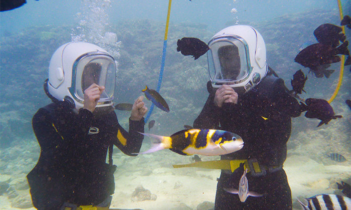 シートレッキング