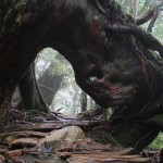 【もののけ姫の森】紀元前より続く、生命の息吹を感じる世界遺産「屋久島」