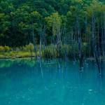 【世界に認められた絶景】北海道が誇る幻想的すぎる「美瑛の青い池」