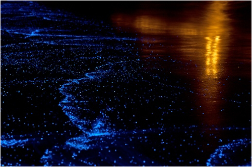 バードゥ島の海辺