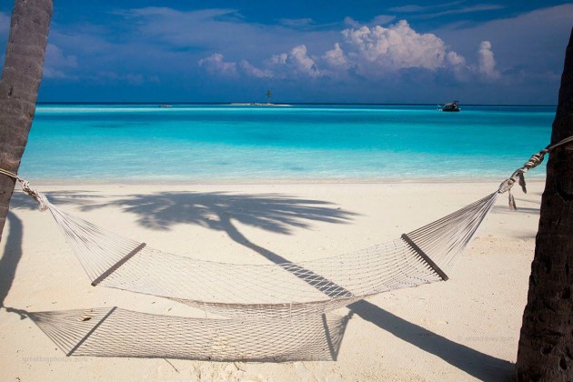 12976795_854346314674317_3174504656050090032_o