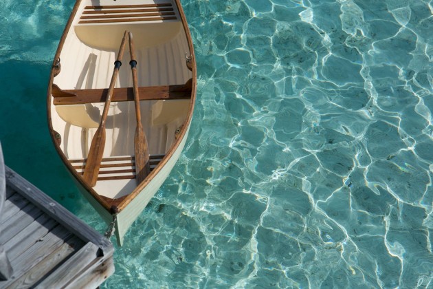 13002389_860925747349707_5700966040562085261_o