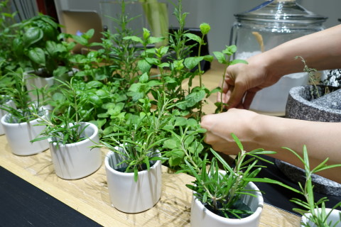 アンダーズ東京のAO スパ アンド クラブのハーブ