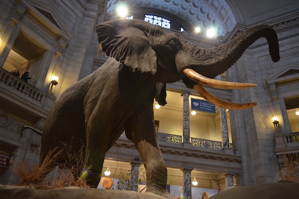 スミソニアン博物館