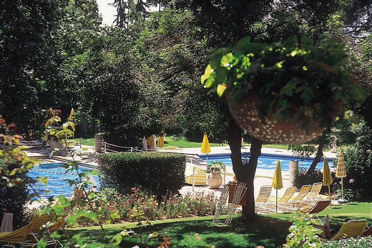 ザ・キング・デイビッド The King Davidの敷地