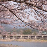 風光明媚な嵐山の絶景を望む「翠嵐 ラグジュアリーコレクションホテル 京都」