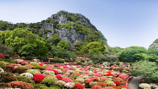 御船山楽園の花まつり