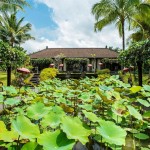 ウブドの緑あふれる山地の水田の中に建つ「ザ・チェディ・クラブ・アット・タナ・ガジャ・ウブド」