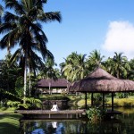 体の中から綺麗になれる健康をテーマにした「ザ・ファーム・アット・サン・ベニート」