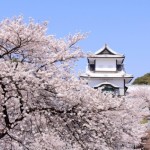 あなたはどこへ行きますか？春におすすめな国内旅行先ランキング