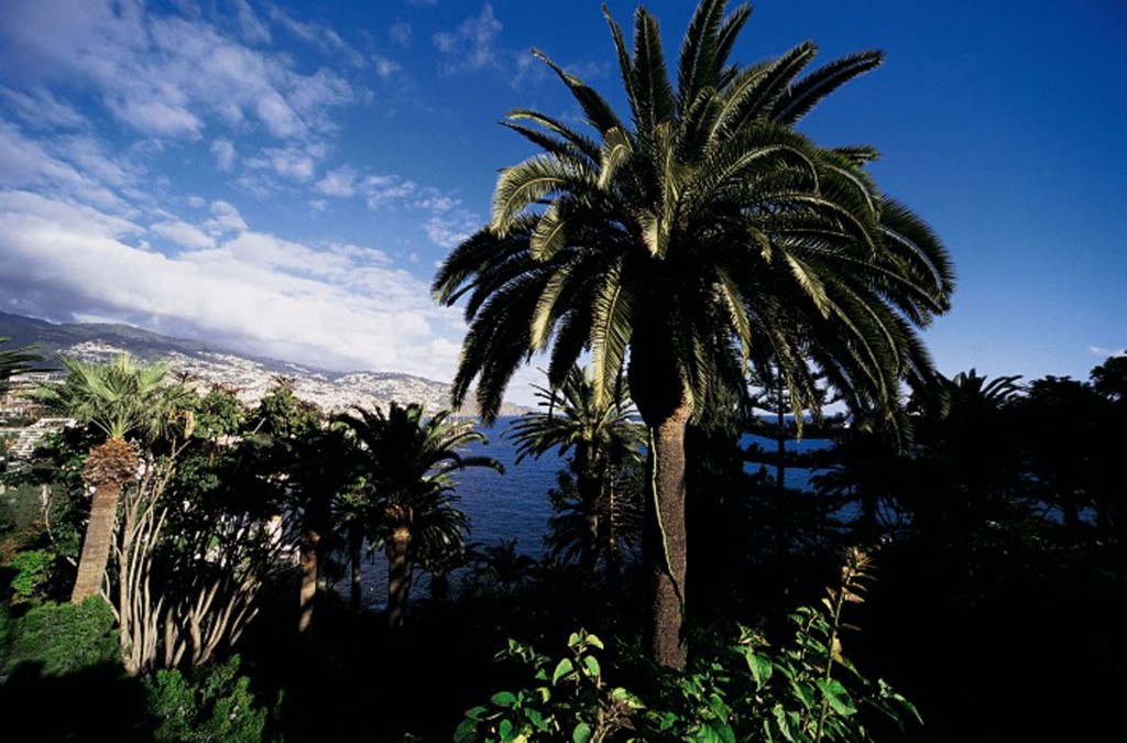 ベルモンド・リーズ・パレス Belmond Reid's Palaceの風景