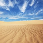 砂漠だけど、砂漠だけじゃない！多方面の魅力を持つモンゴルの「ゴビ砂漠」