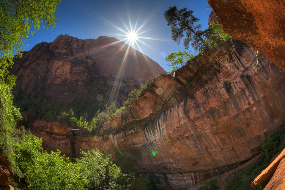 ザイオン国立公園 Zion National Parkのエメラルドプールズトレイル