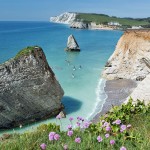 様々な野生生物や植物が咲き乱れる英国のリゾート地「ワイト島」