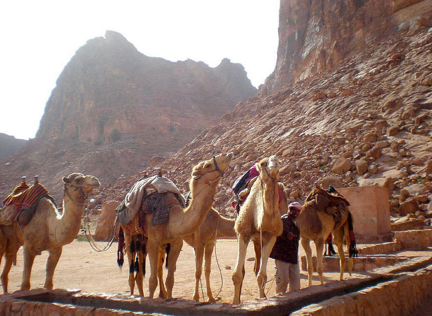 ワディラムのロレンスの泉