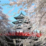４月中旬以降に楽しめる！東北のおすすめ桜名所５選