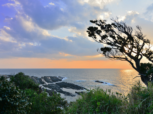 海椿葉山からの風景