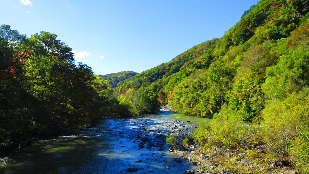 奥入瀬渓流の入り口