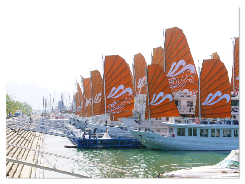 ハロンベイクルーズ