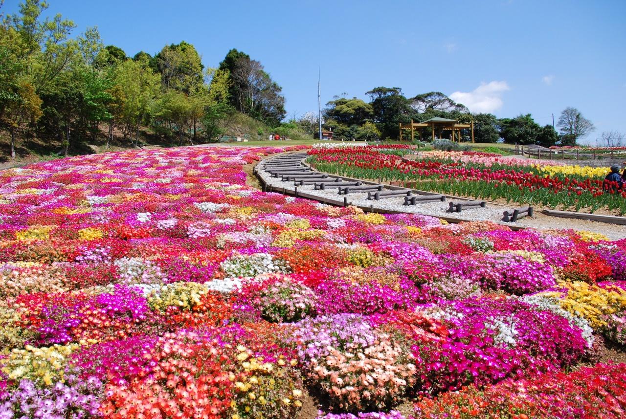 愛知県サンテパルク田原