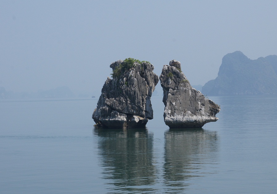 SONY DSC