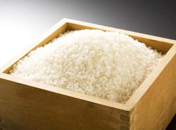 丹後コシヒカリ