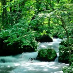 大自然と四季を感じる日本の絶景「青森県・奥入瀬渓流」