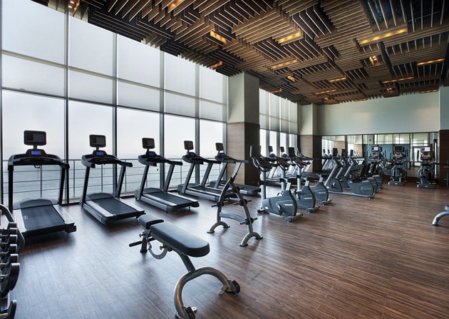 デデマン・ゾングルダクのジム