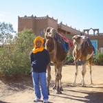 地球の神秘！ラクダで渡るサハラ砂漠1泊ツアーを体験しよう