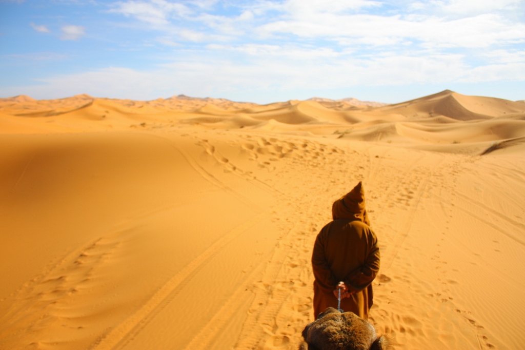 サハラ砂漠ツアーの画像です。