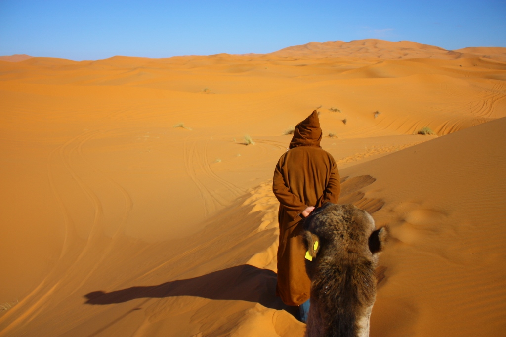 サハラ砂漠ツアーの画像です。