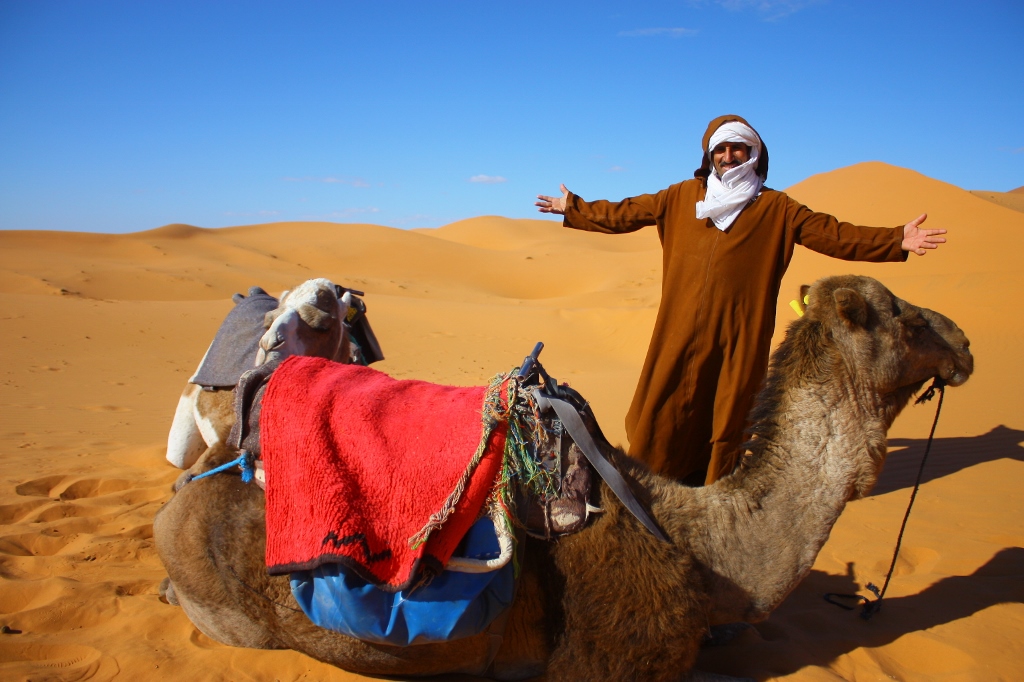 サハラ砂漠とラクダの画像です。