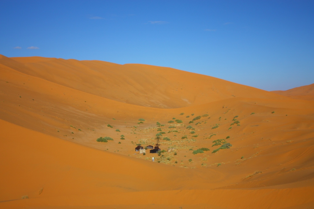 サハラ砂漠の真ん中に立つテントの群れの画像です。