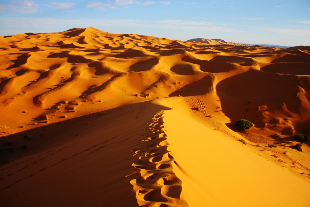 サハラ砂漠の絶景の画像です。
