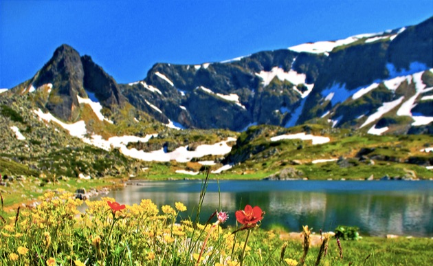 リラ国立公園の春の景色