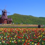 これからの季節に楽しめる！初夏の花見スポット１０選