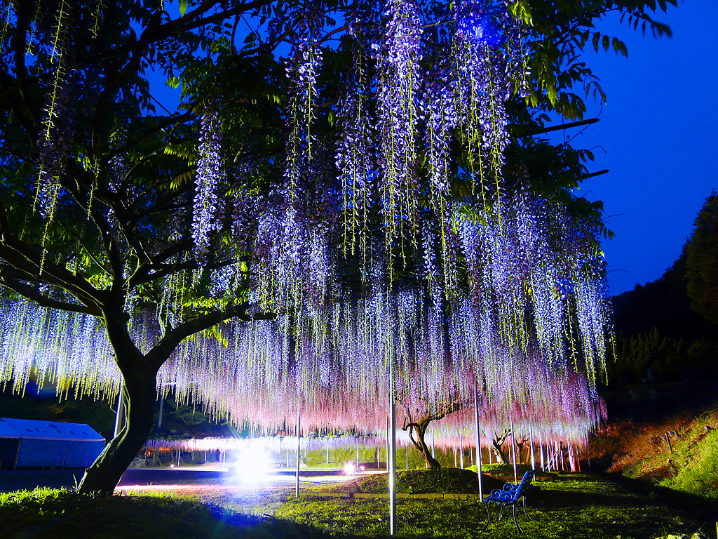 兵庫県丹波「白毫寺」