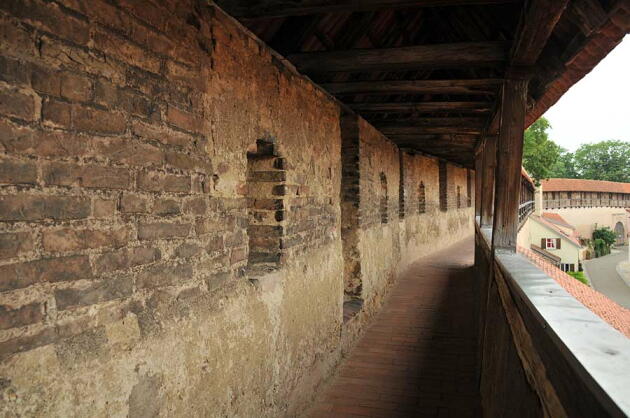 ネルトリンゲンの市壁