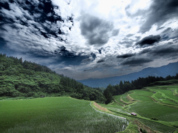 うへ山の棚田/兵庫