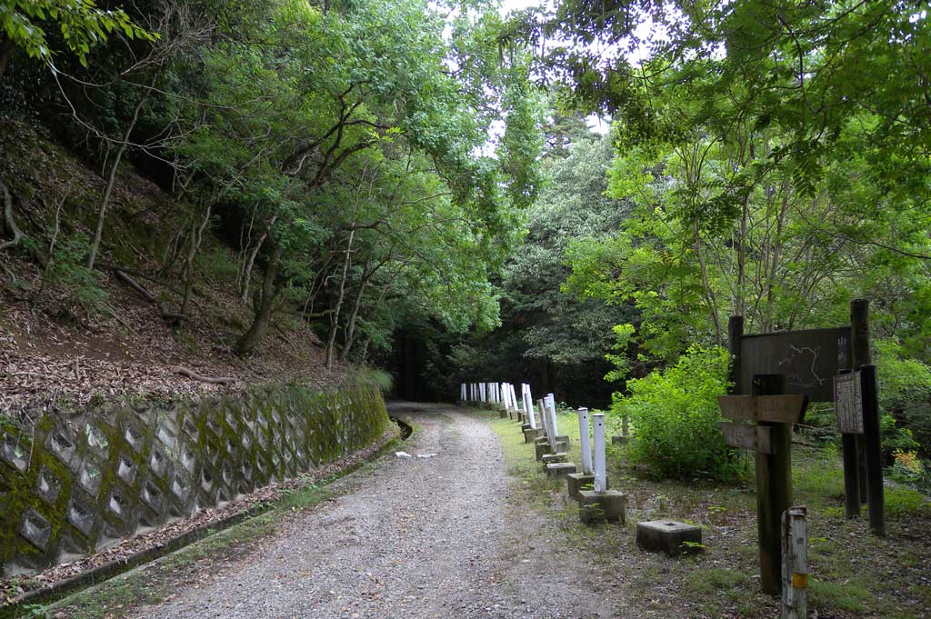 春日山遊歩道